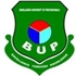 Bangladesh University of Professionals (BUP)